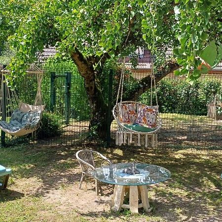 Studio Dans Belle Maison Ancienne Et Jardin Ferme L'Etoile  외부 사진