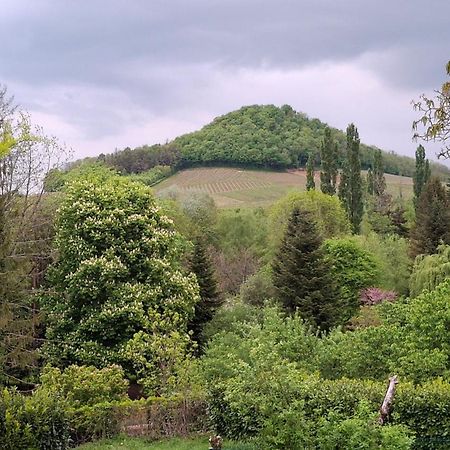 Studio Dans Belle Maison Ancienne Et Jardin Ferme L'Etoile  외부 사진