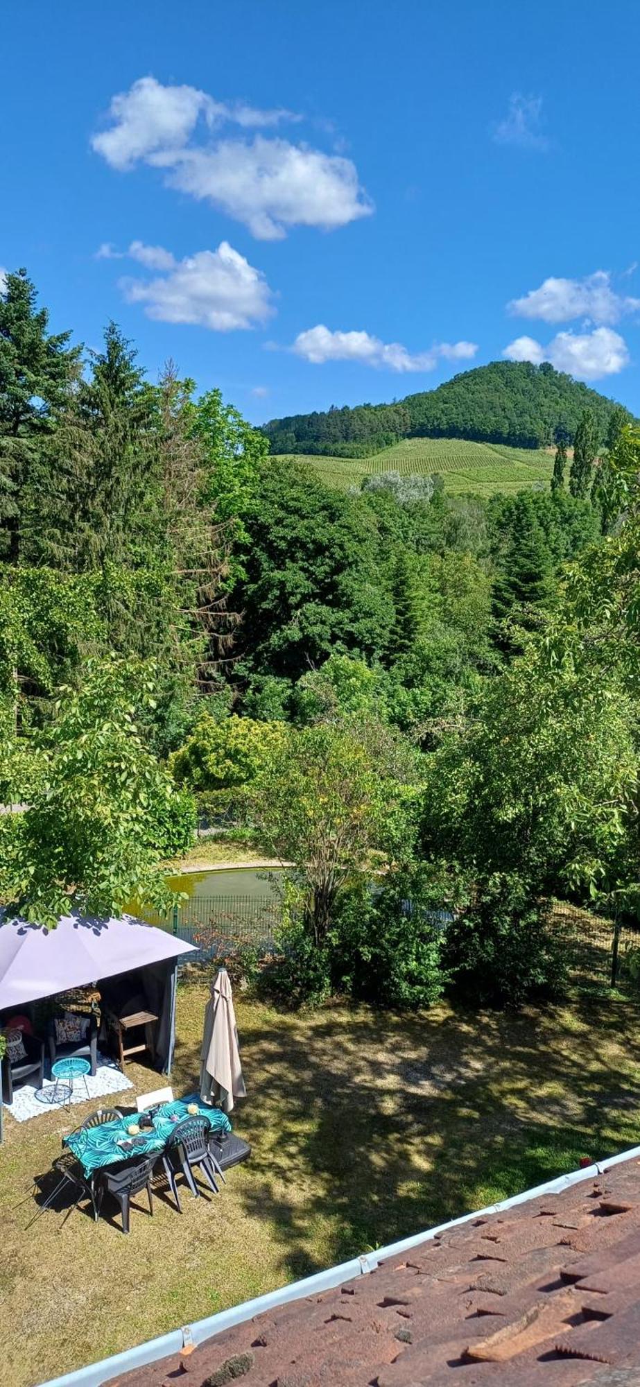 Studio Dans Belle Maison Ancienne Et Jardin Ferme L'Etoile  외부 사진