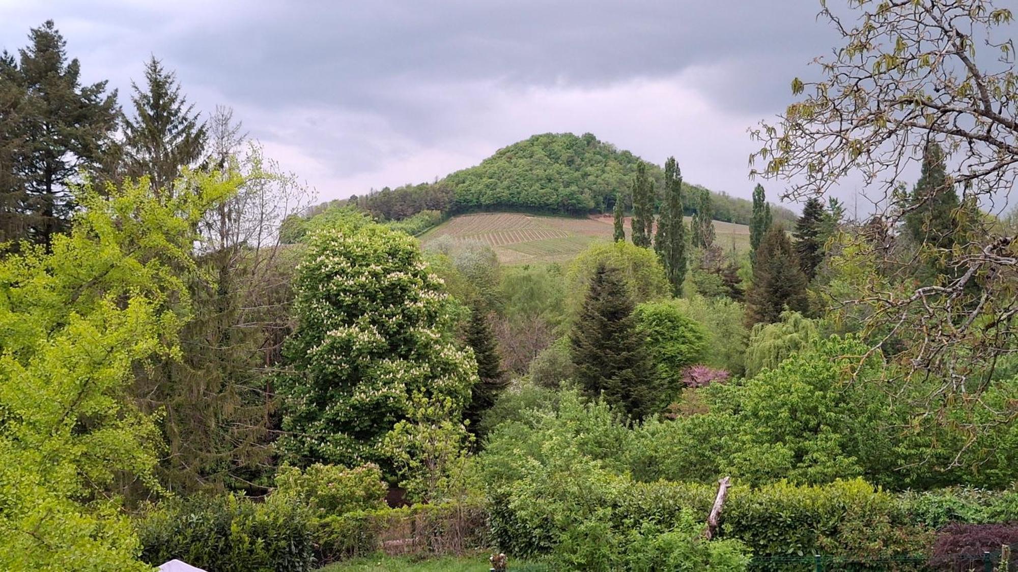 Studio Dans Belle Maison Ancienne Et Jardin Ferme L'Etoile  외부 사진